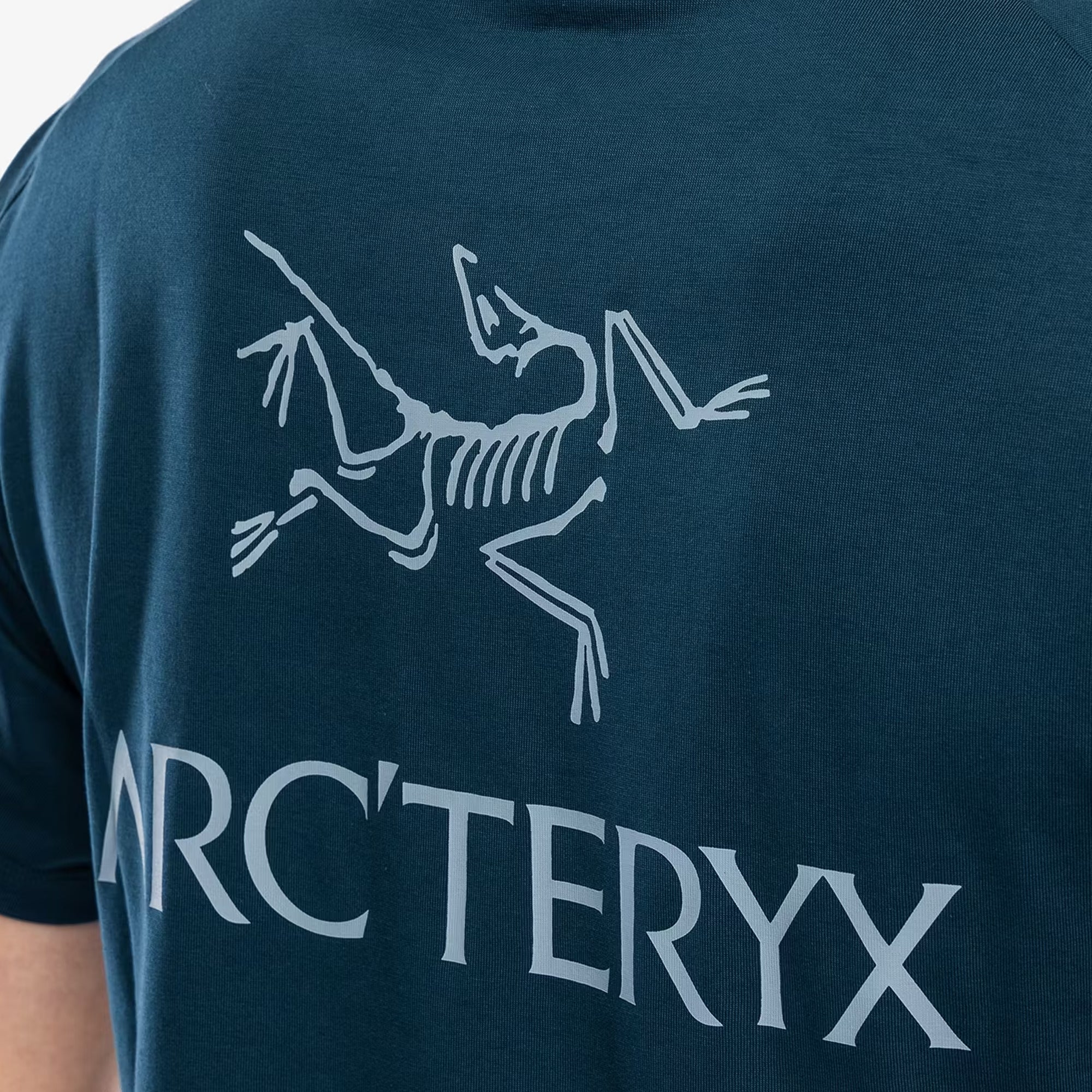 Arc'teryx Mens Kragg SL Cotton Bird Word Tee - Image 2