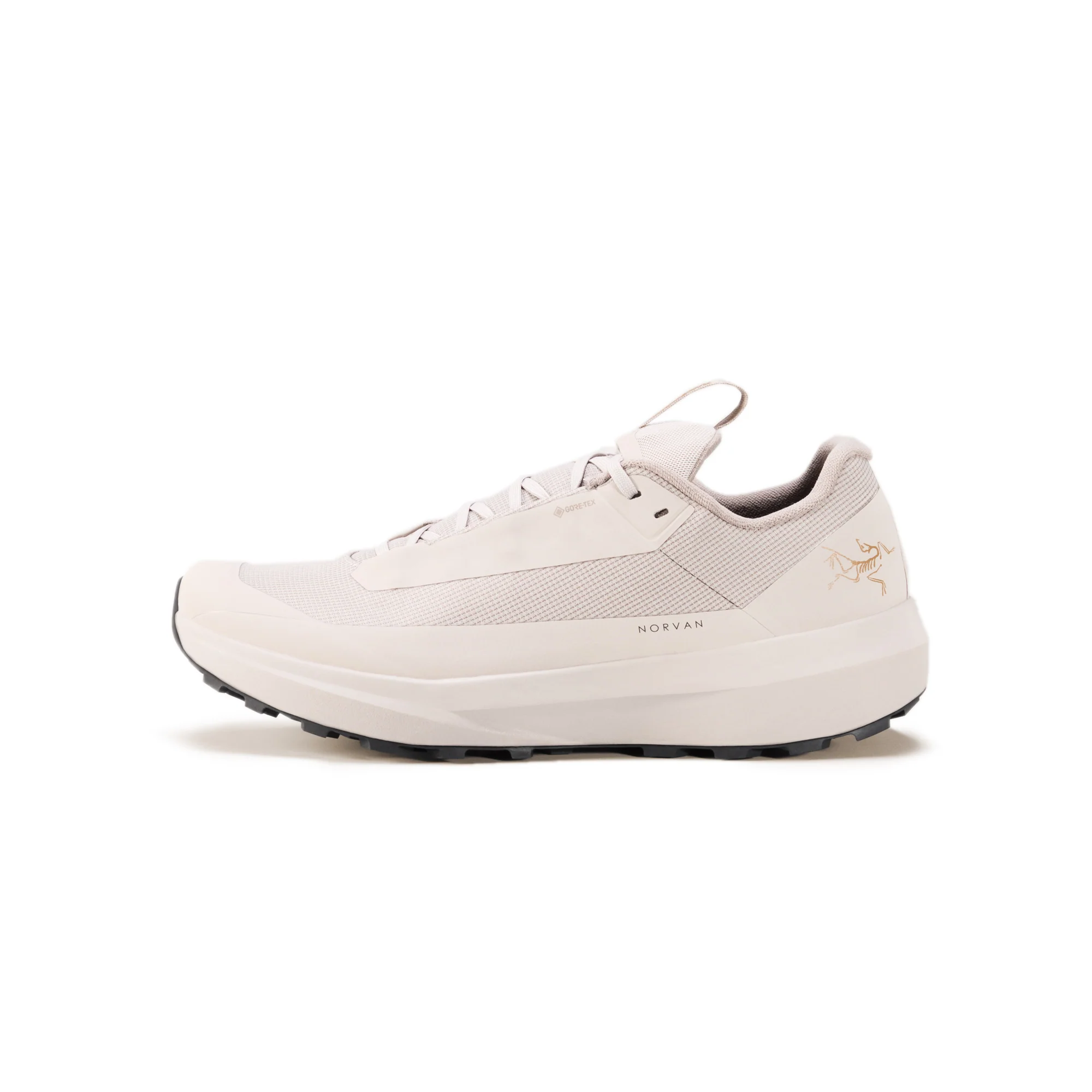 Arc'teryx Mens Norvan LD 4 GTX Shoes