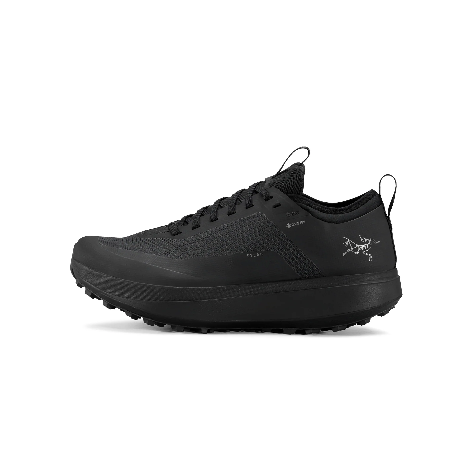 Arc'teryx Mens Sylan Gore-Tex Shoes