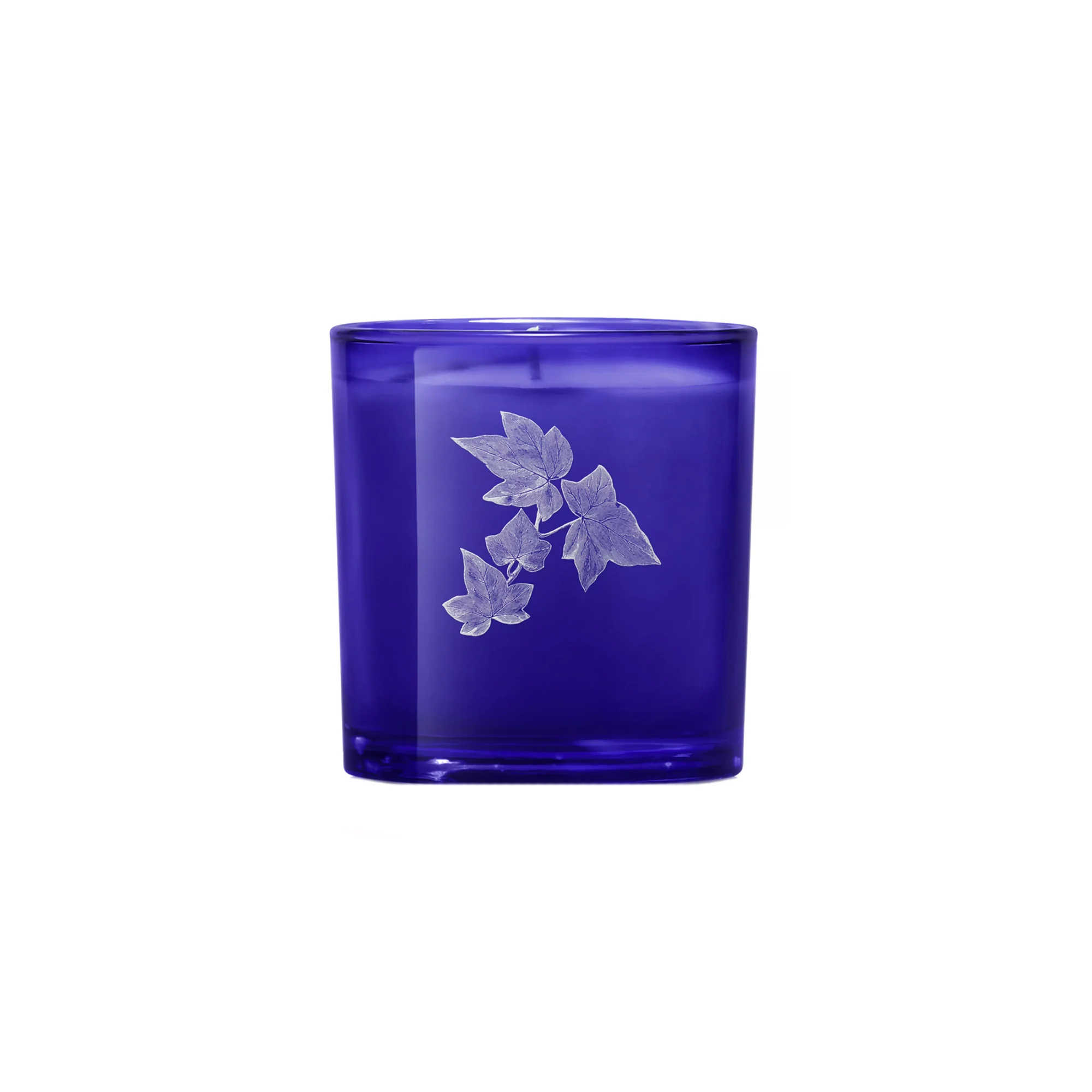 Boy Smells Hackney Gardens 8.5 oz Candle - Image 2