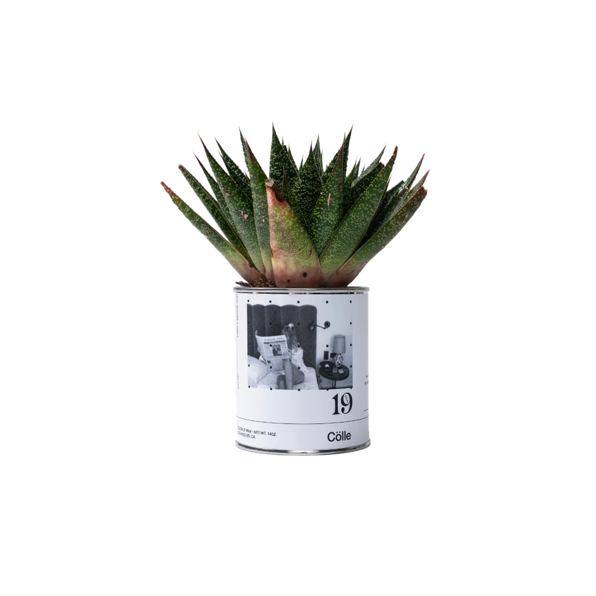Colle Apt 19 Candle - Image 3