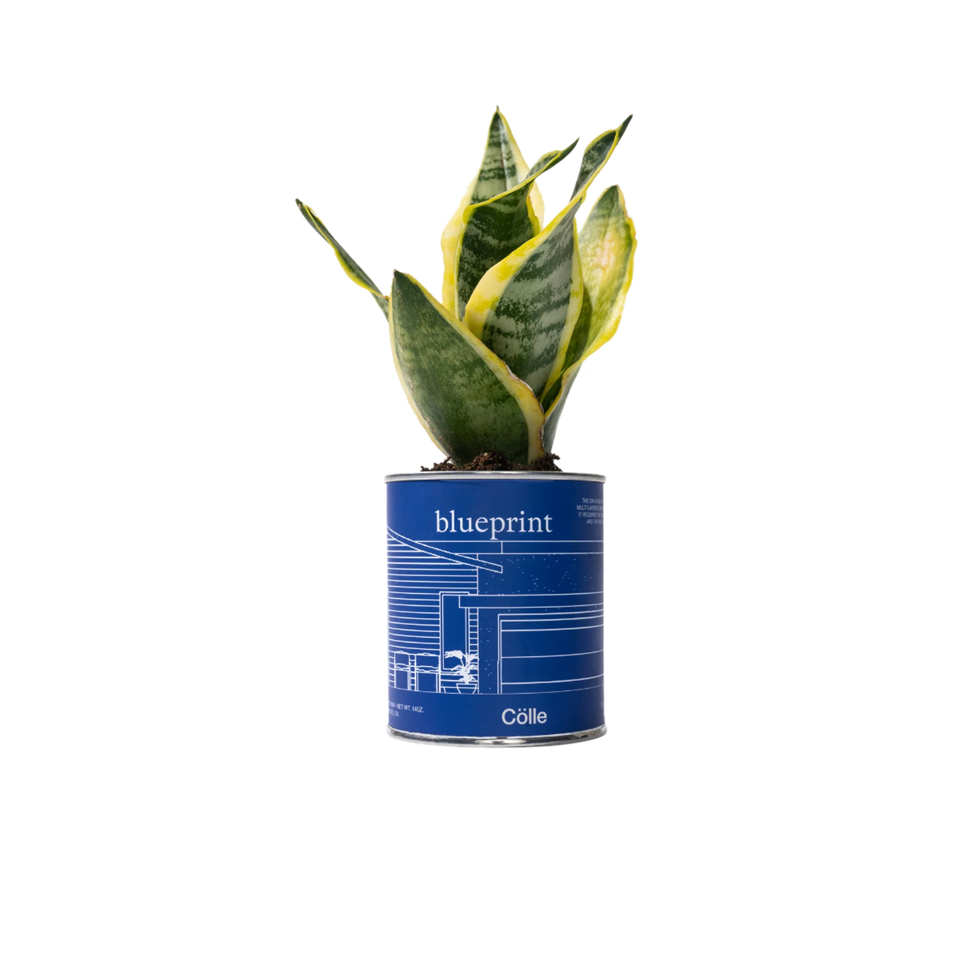 Colle Blueprint Candle - Image 3