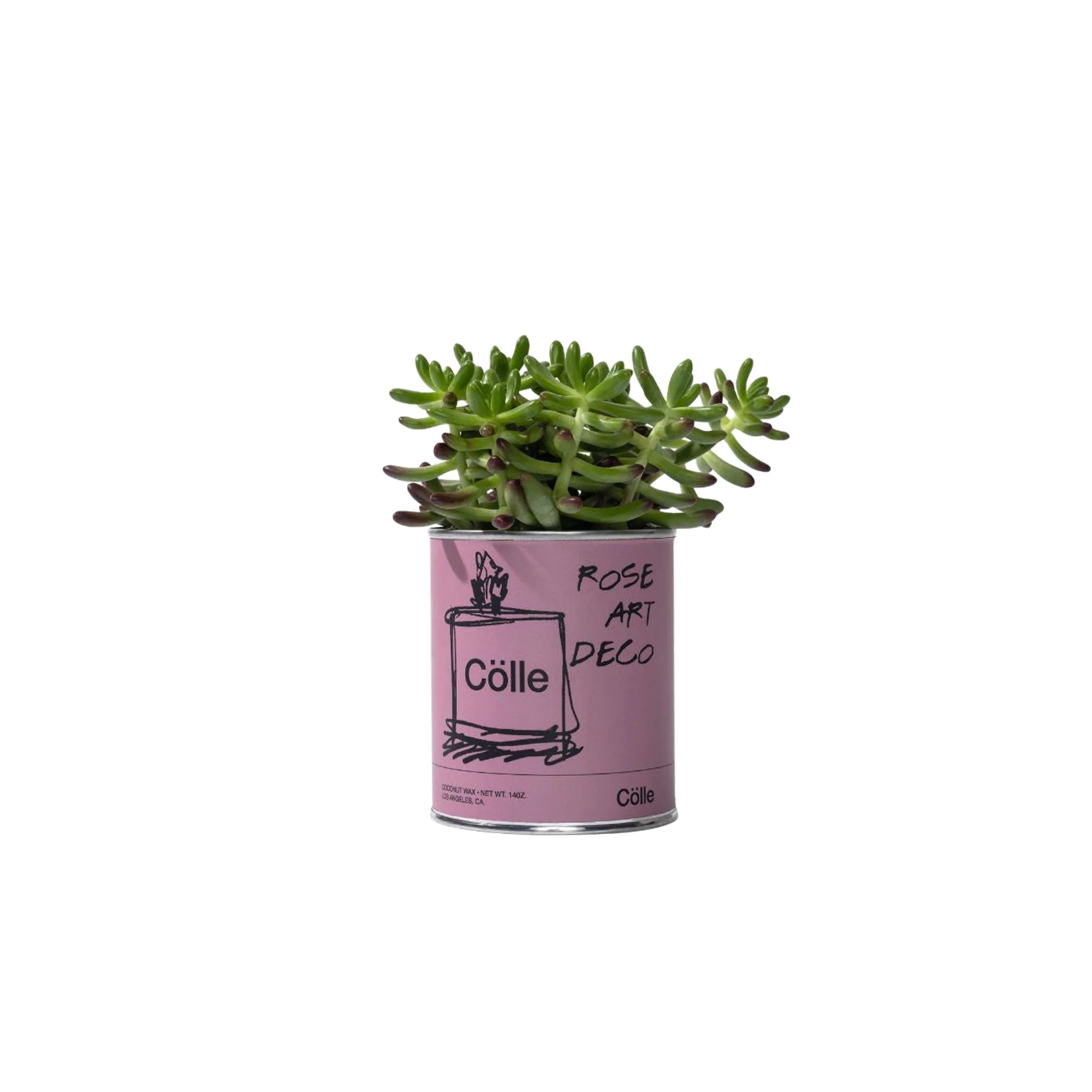 Colle Rose Art Deco Candle - Image 4