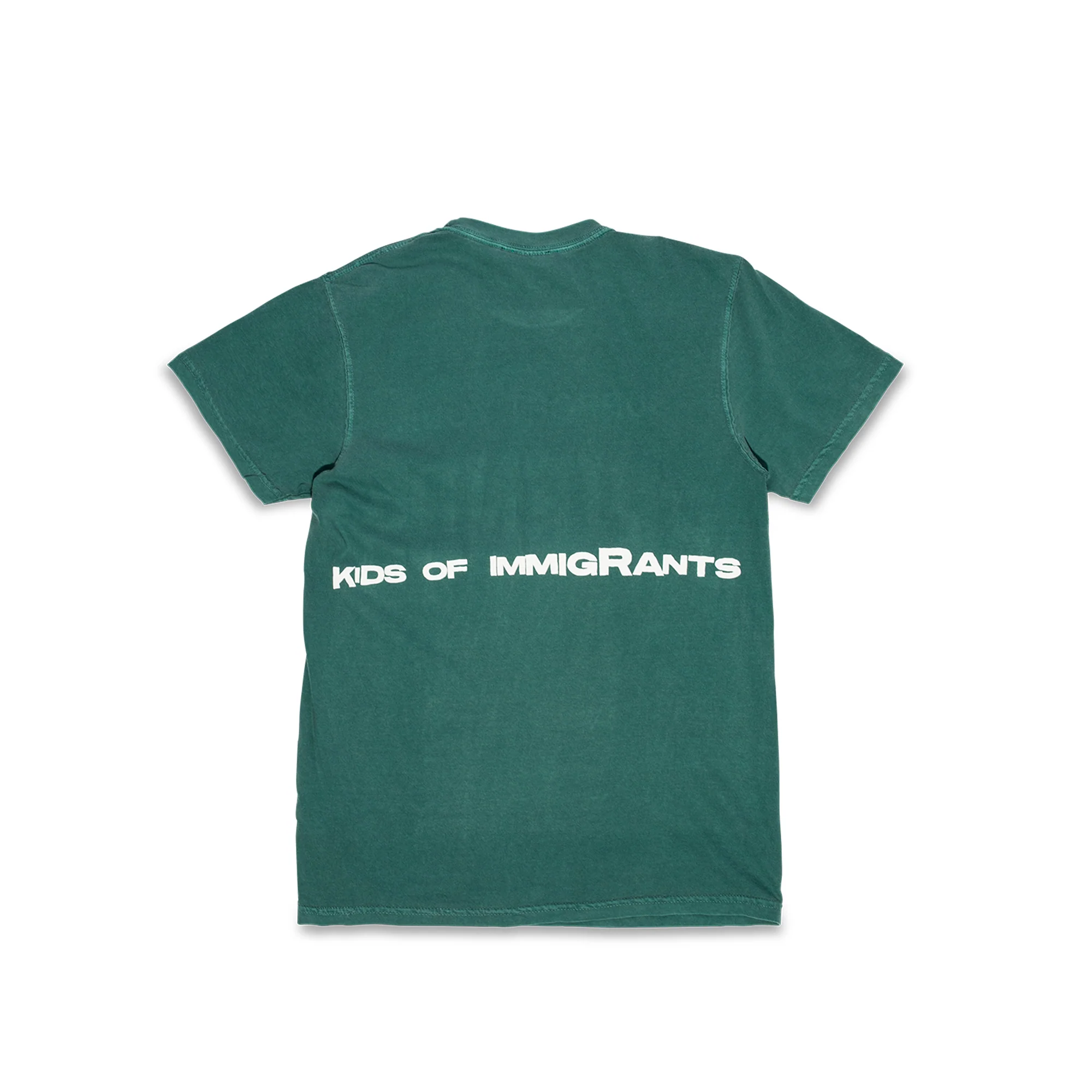 Kids Of Immigrants Support Your Friends T-Shirt 'Teal Multi' - Image 3