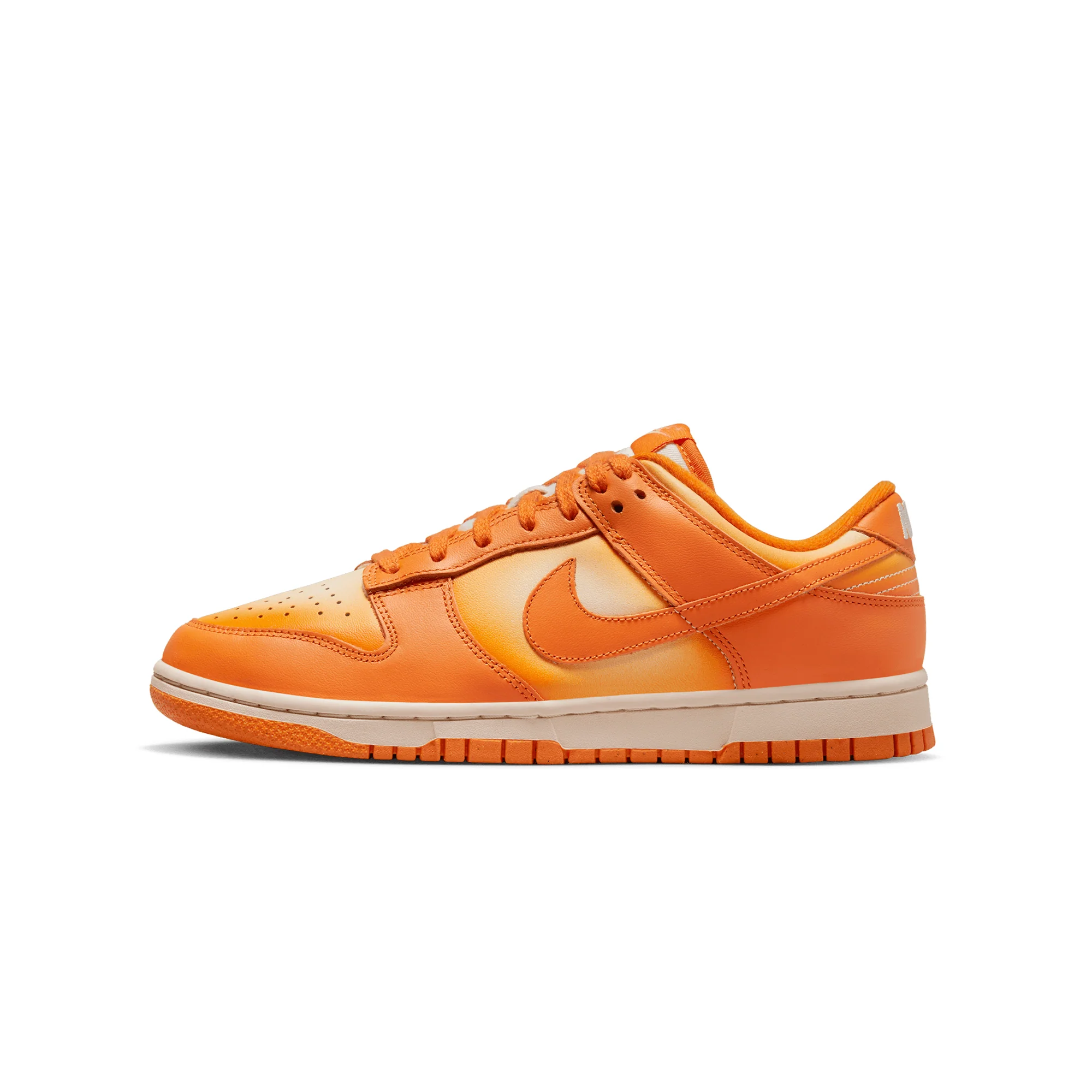 Nike Womens Dunk Low Shoes