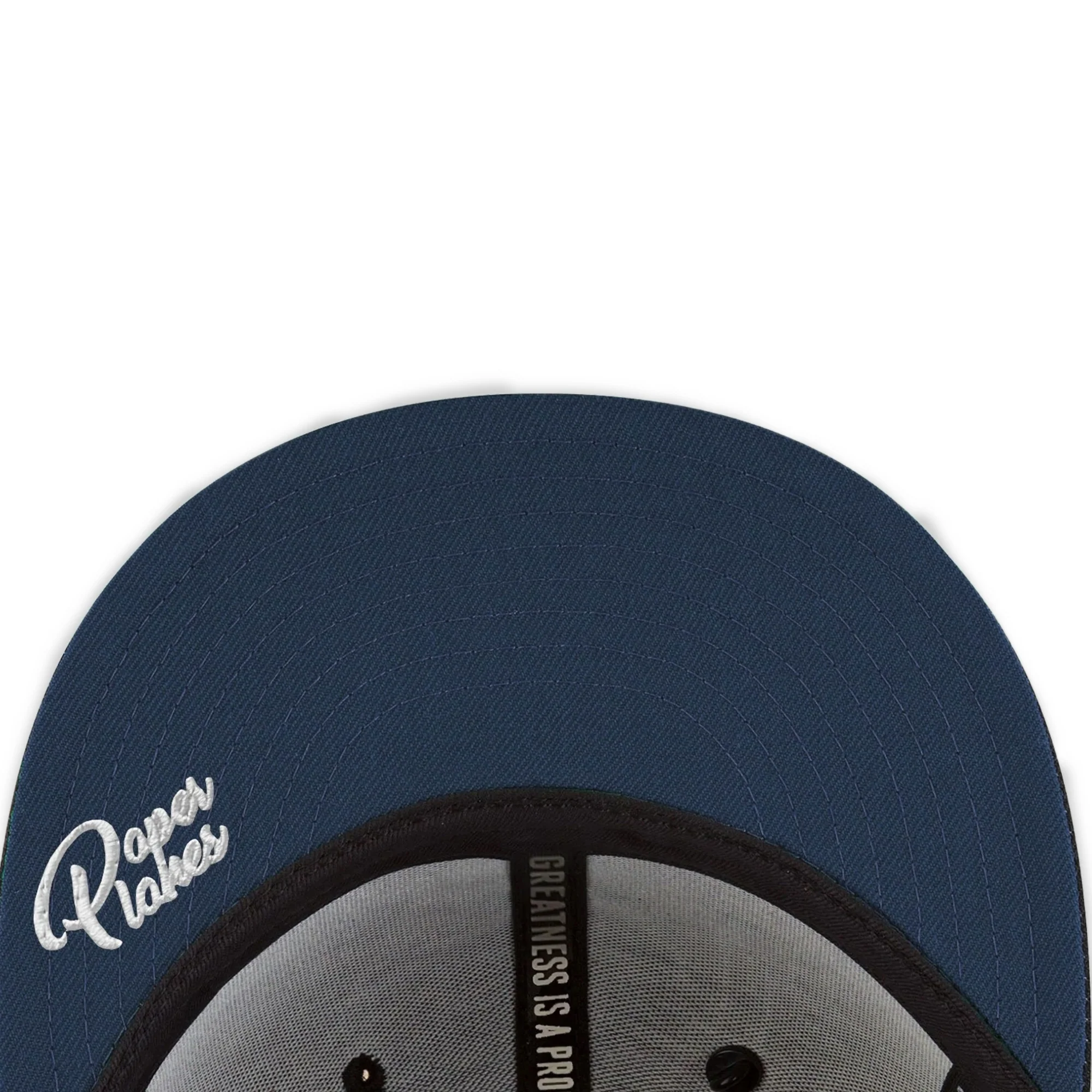Paper Planes Mens Scripted Mantra Old School Snapback w/ Contrast Undervisor 'June Bug' - Image 4