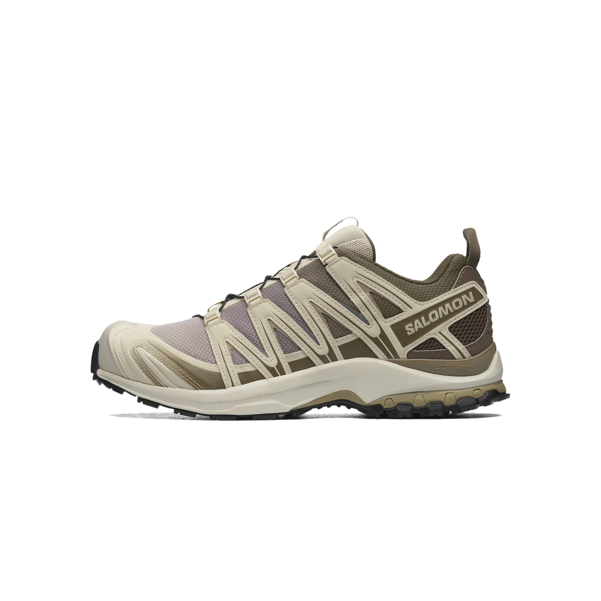 Salomon Mens XA Pro 3D Shoes