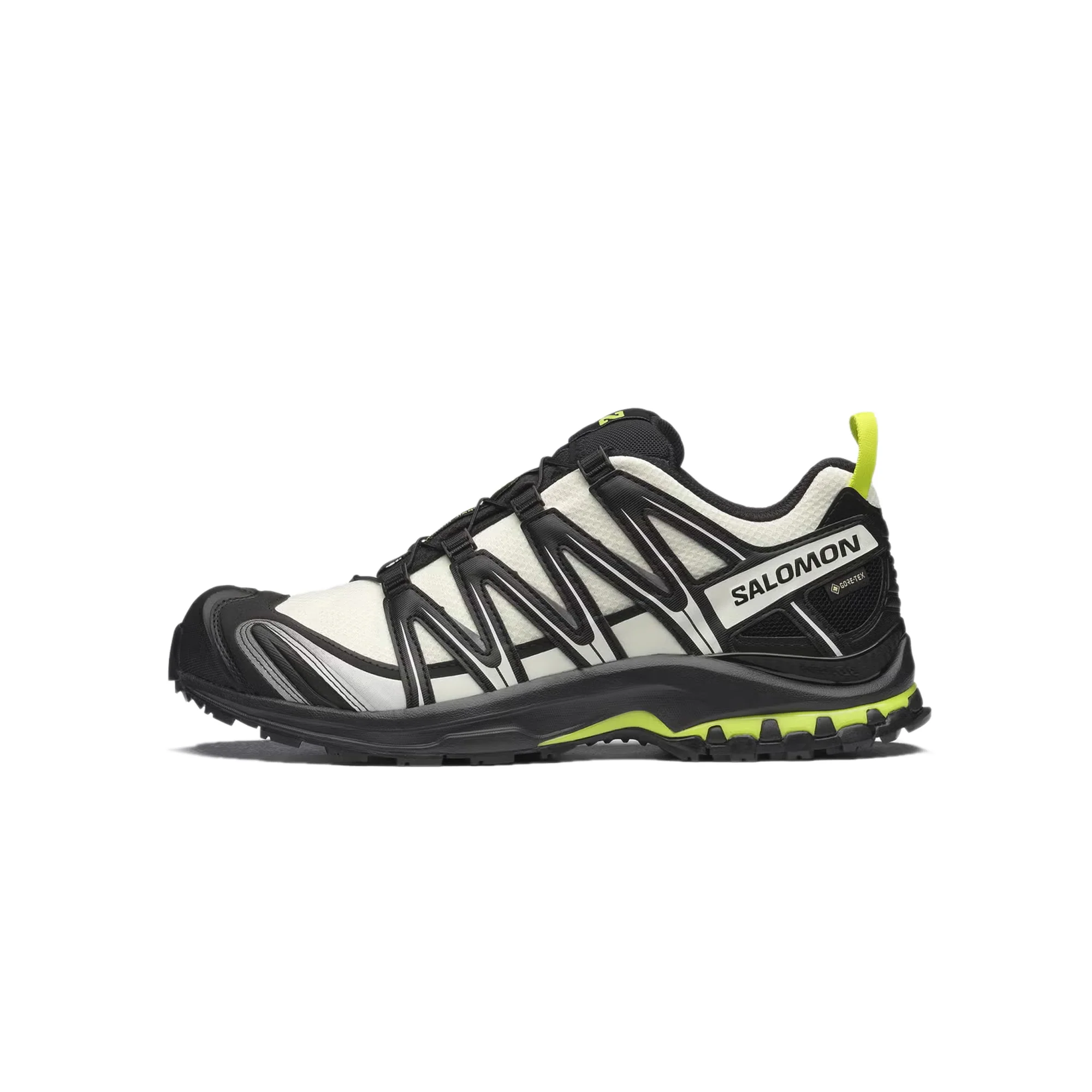 Salomon Mens XA Pro 3D GTX Shoes
