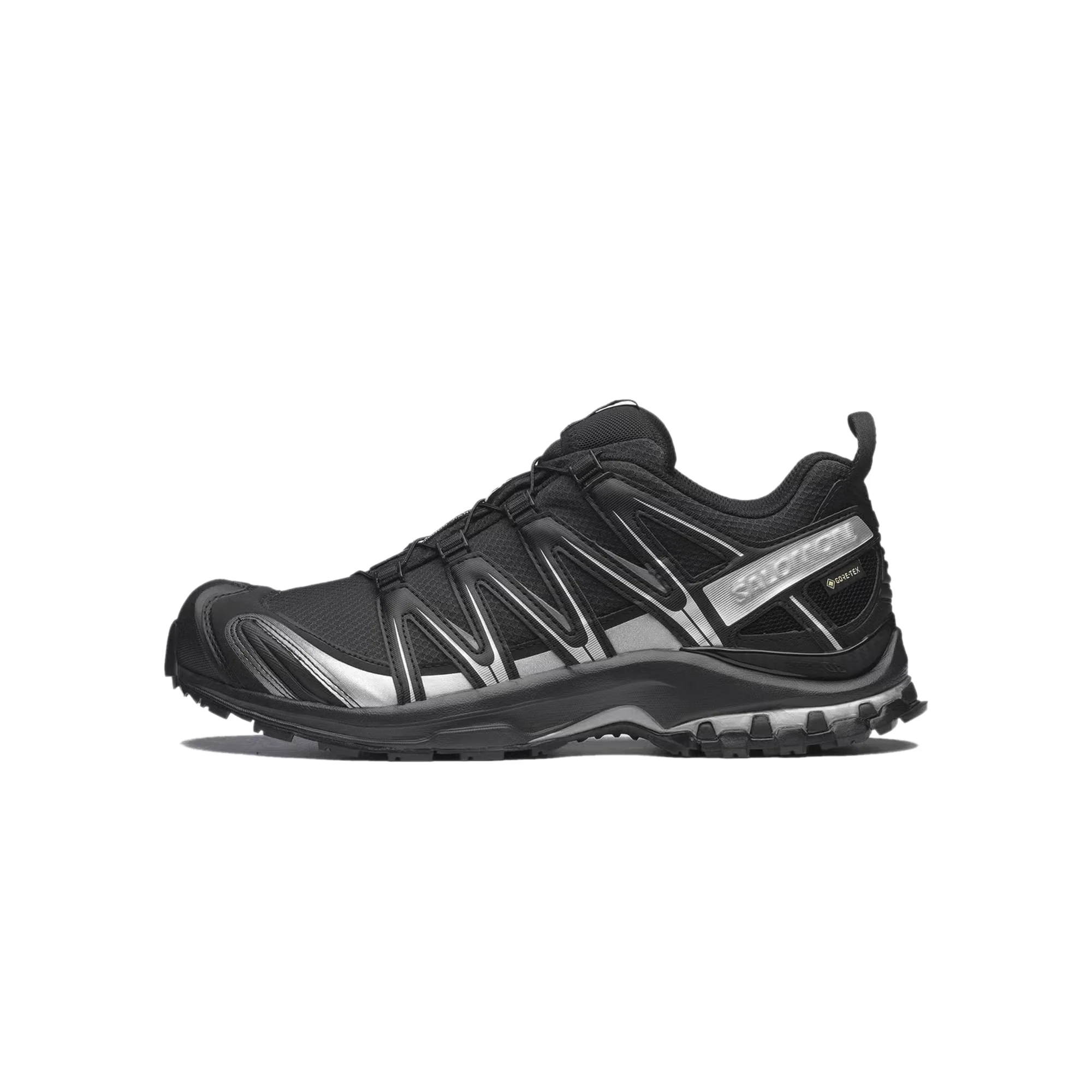 Salomon Mens XA Pro 3D GTX Shoes