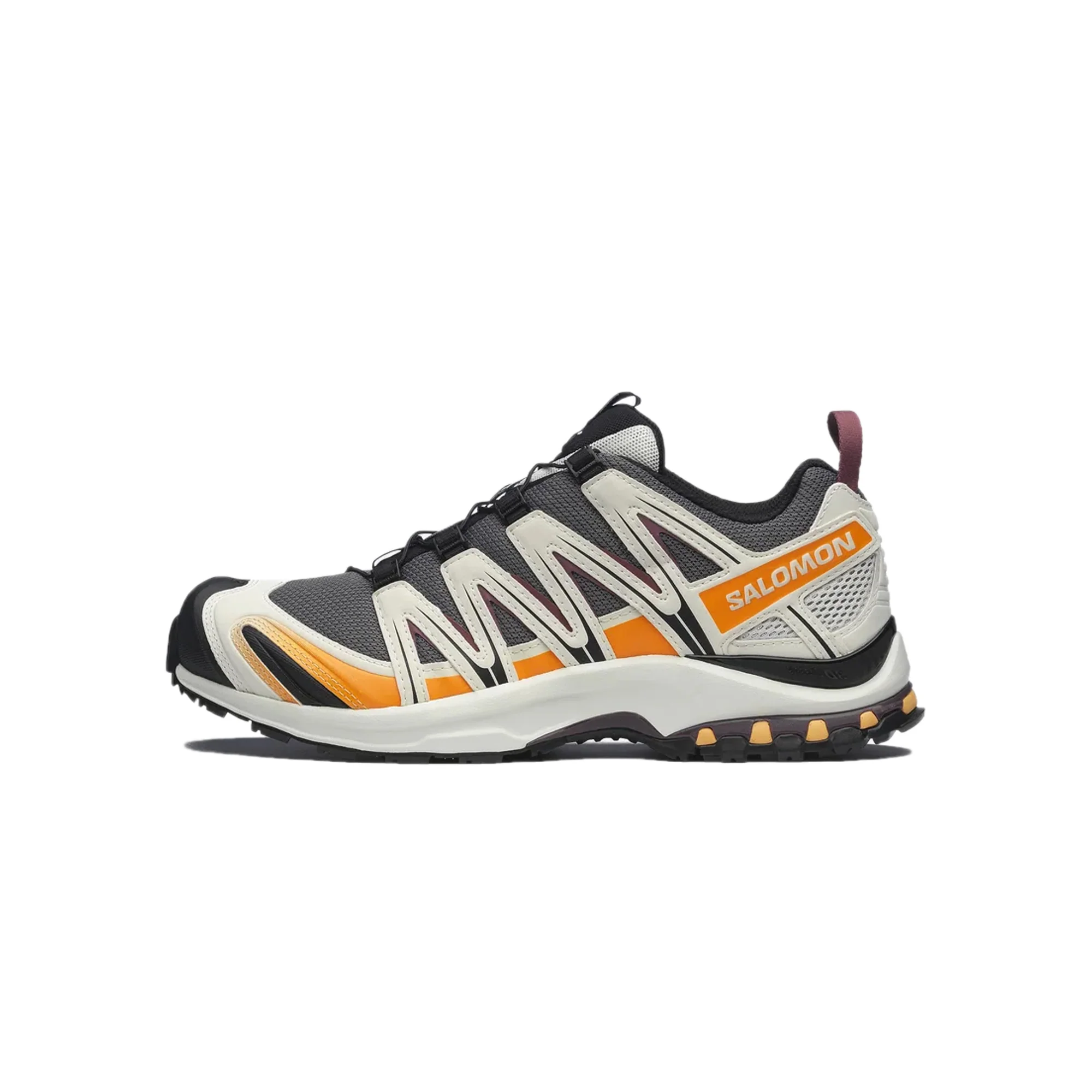 Salomon Mens XA Pro 3D Shoes