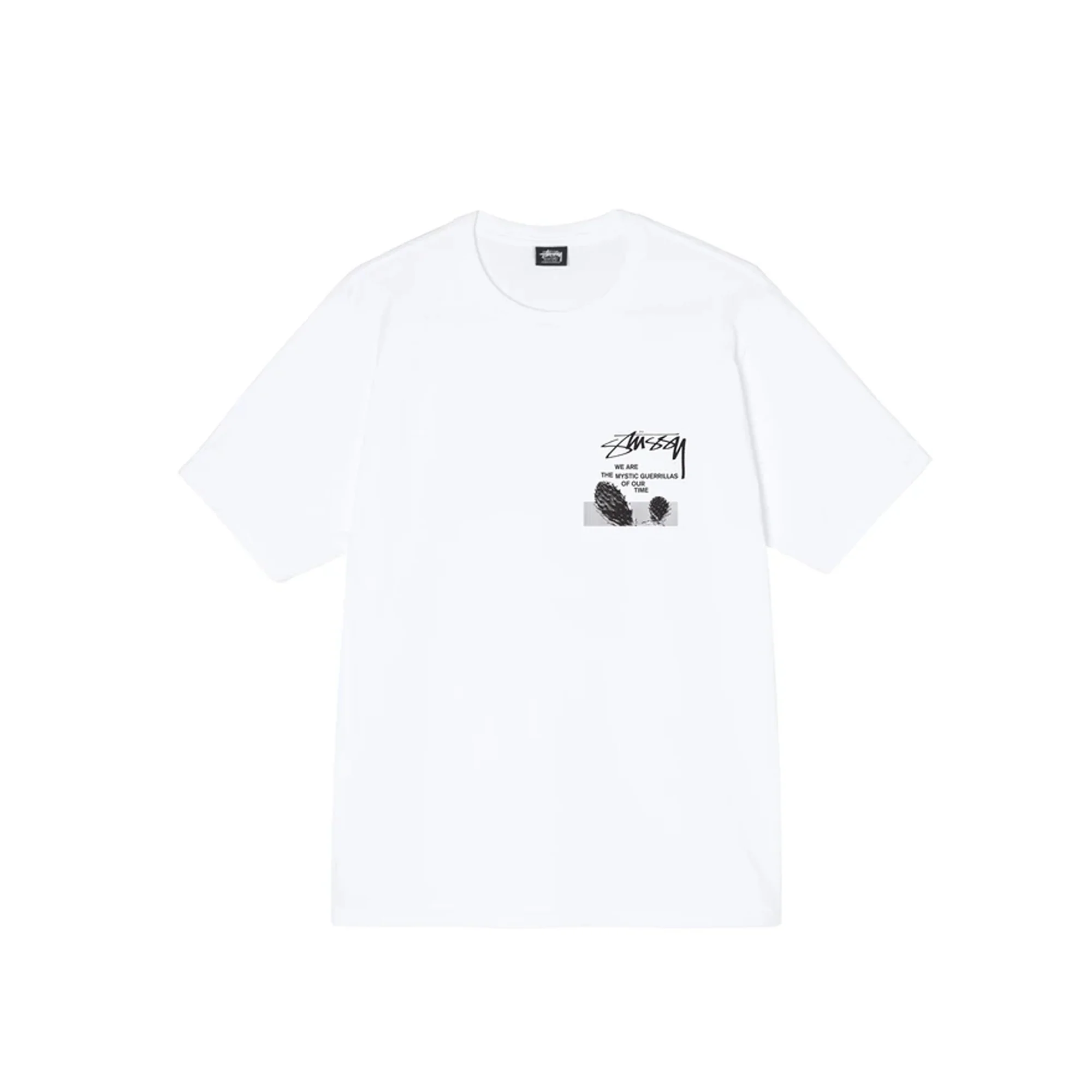 Stussy Mens Desert Sky Tee 'White'